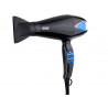 Hair Dryer DSP 30022