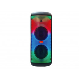 Динамик DIGIVOLT DG-P122-1